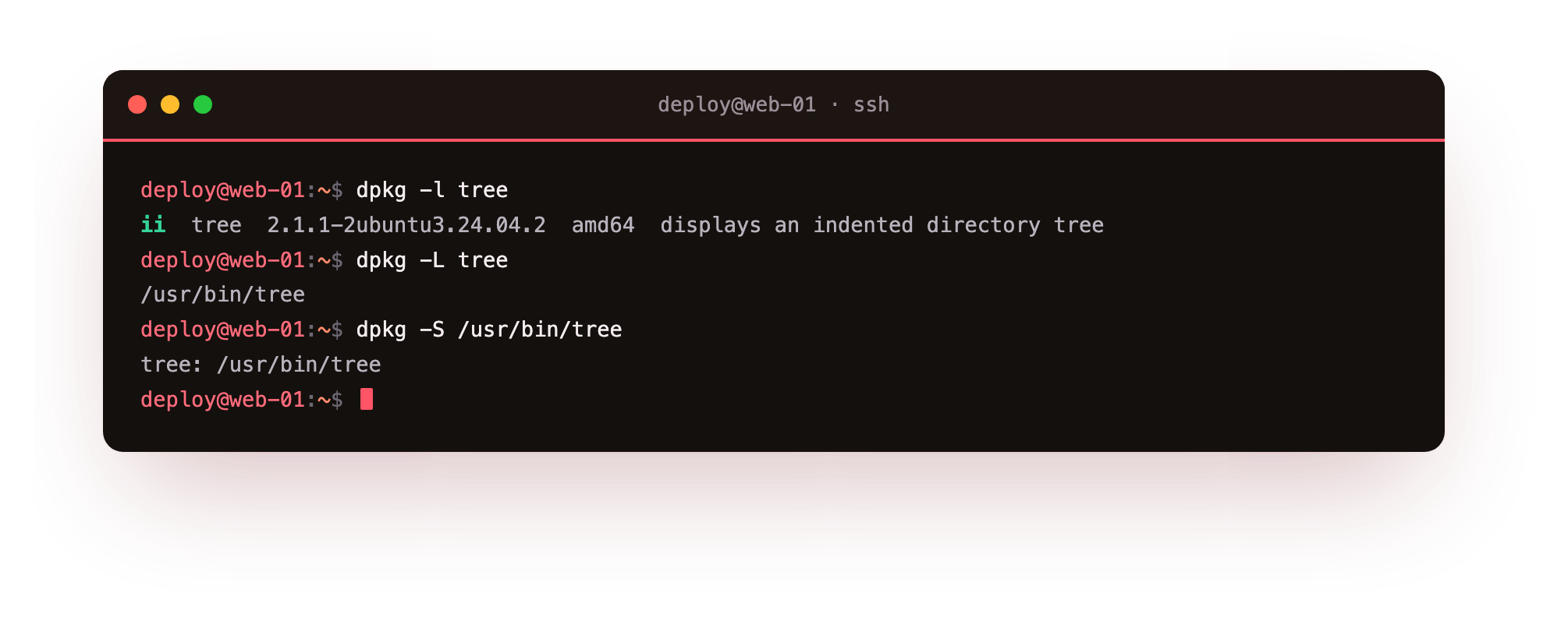 dpkg -l confirms the package is installed, dpkg -L lists its files, and dpkg -S maps a file back to its package