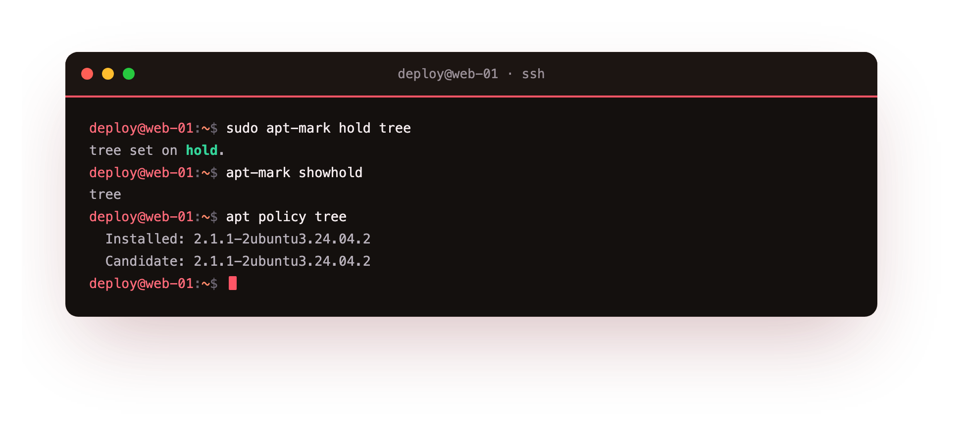 apt-mark hold pins the package, apt-mark showhold lists what is held, and apt policy shows the versions