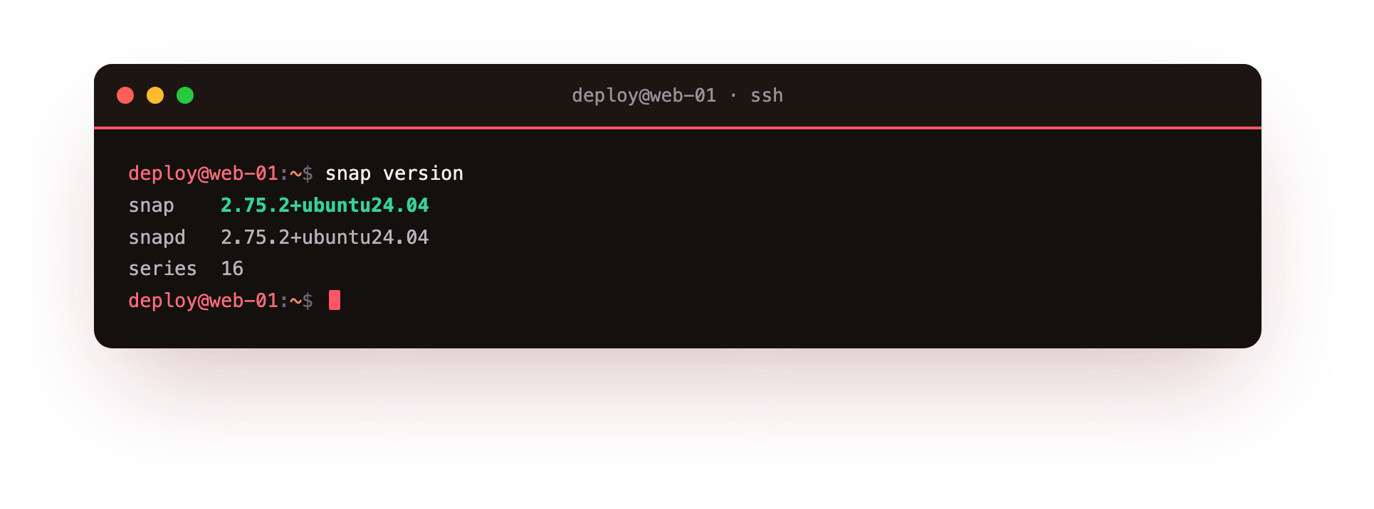 snap version confirms the snap and snapd tooling that ships with Ubuntu 24.04