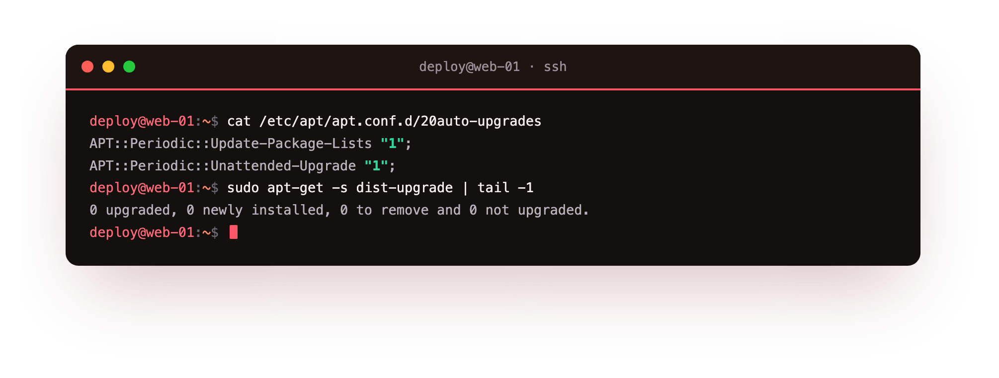 The 20auto-upgrades file with both values set to 1 means Ubuntu refreshes lists and applies security updates on its own
