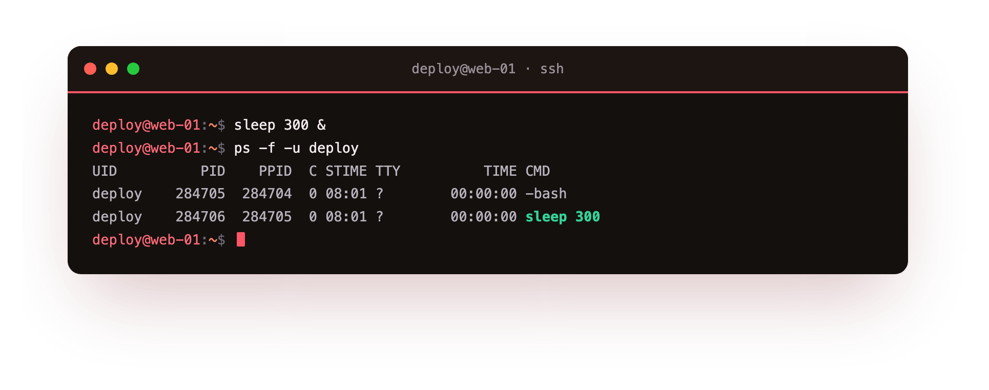 ps -f lists your processes with their PID, parent PID and the command that started them