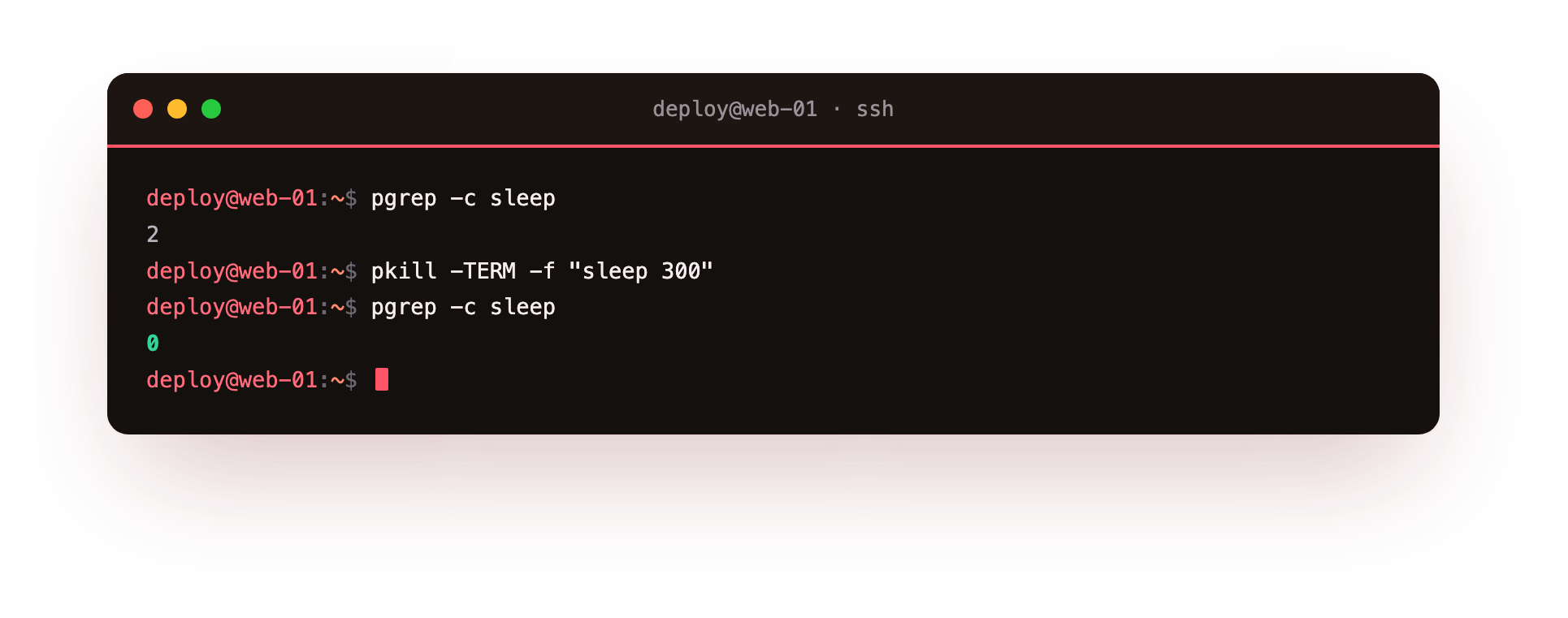 pkill sends the TERM signal to matching processes, and pgrep confirms none are left