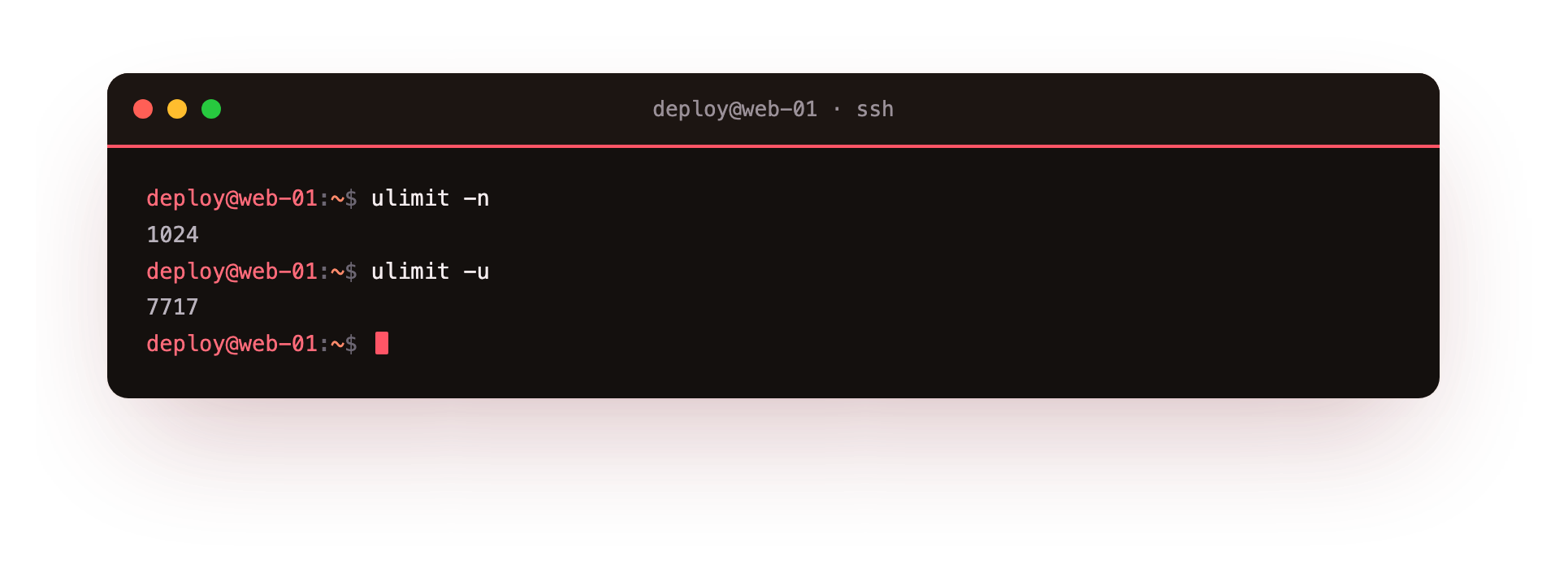 ulimit reports the per-shell caps: 1024 open files and a maximum number of processes