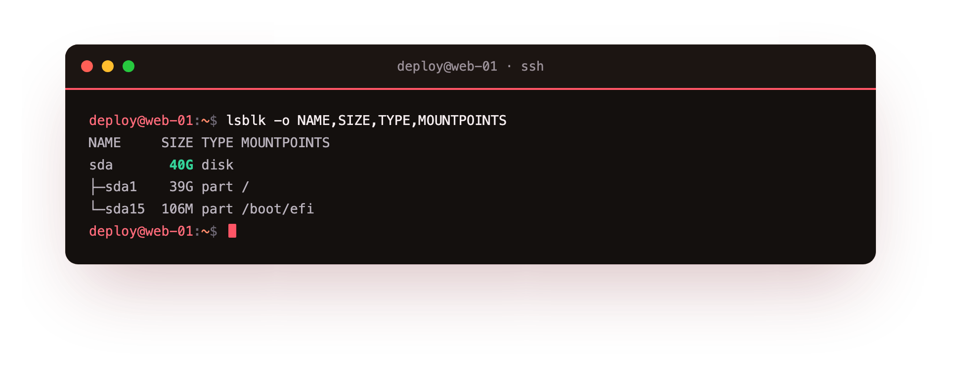 lsblk shows the disk, its partitions, their sizes and where each one is mounted