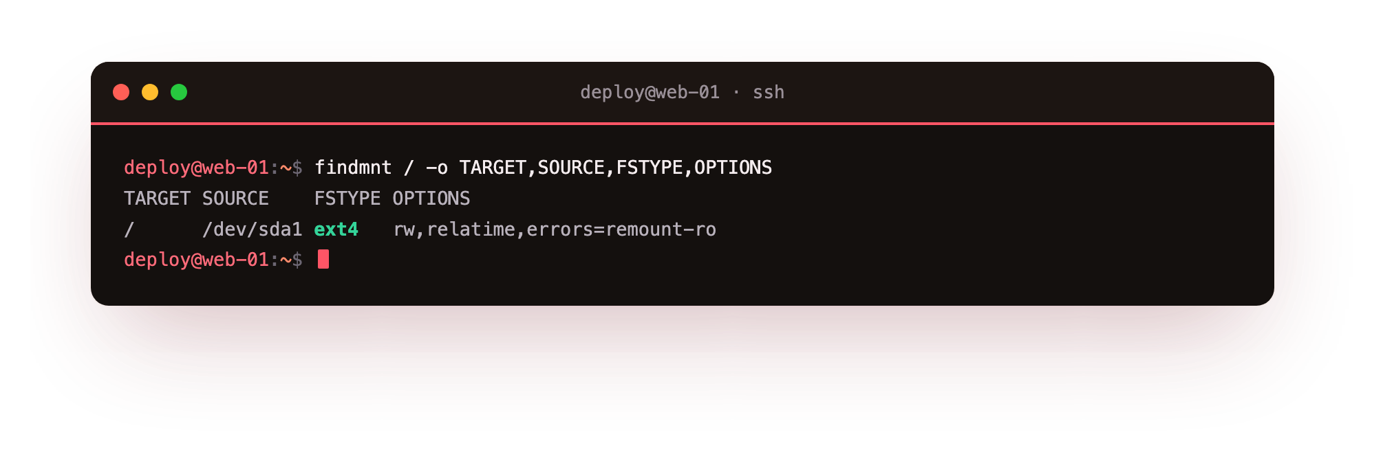 findmnt shows the root directory is backed by the sda1 partition, formatted ext4, with its mount options