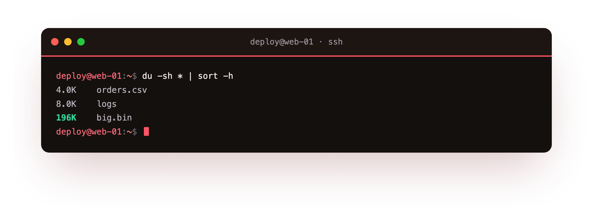 du -sh sizes each item in the directory and sort -h lists them smallest to largest