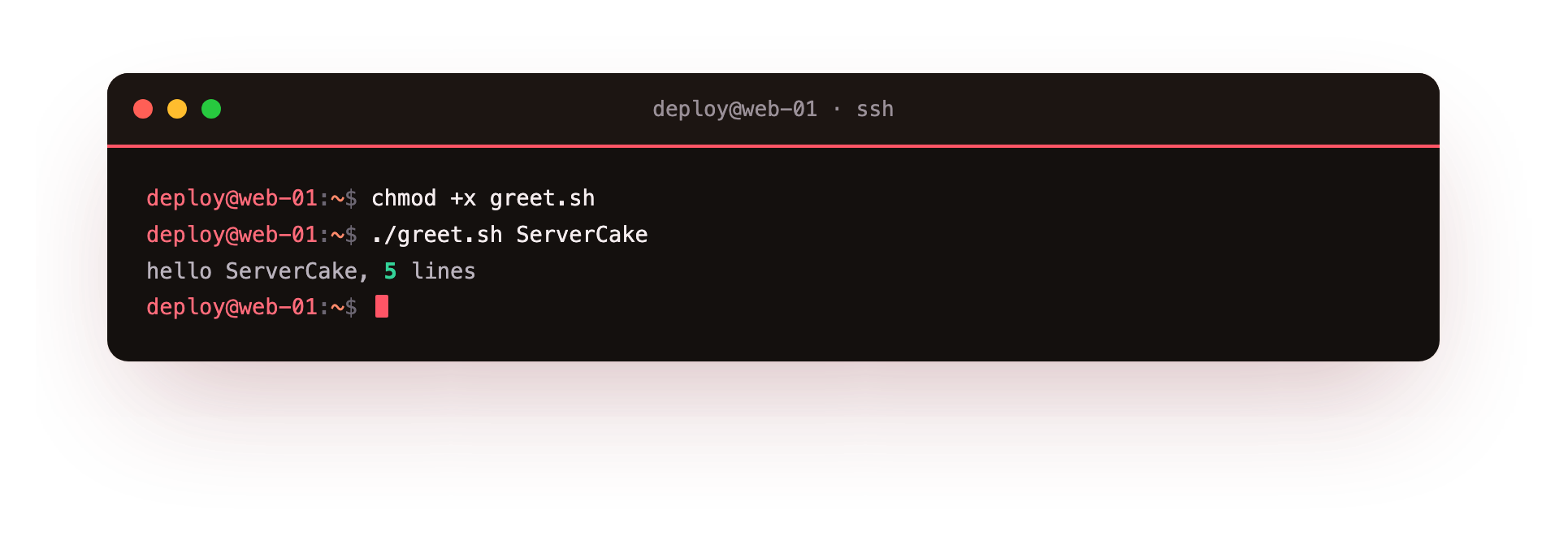 Running the script passes ServerCake as an argument, and the script prints a line built from the argument and a file count