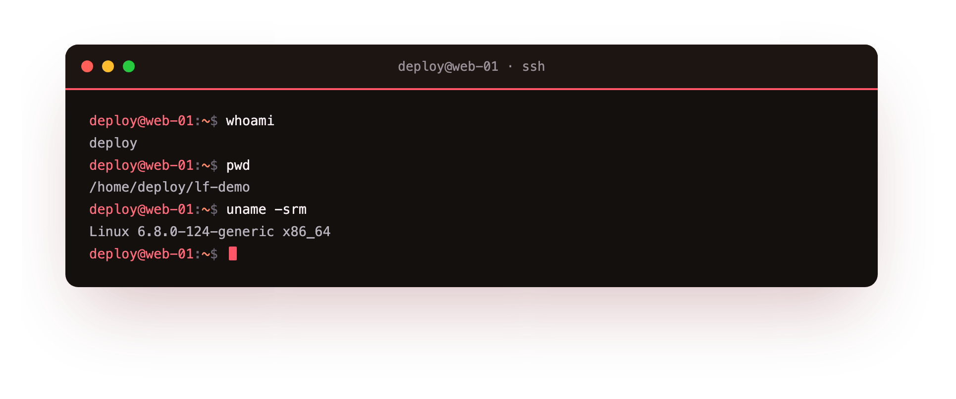 whoami, pwd and uname show which user you are, which directory you are in, and which kernel is running