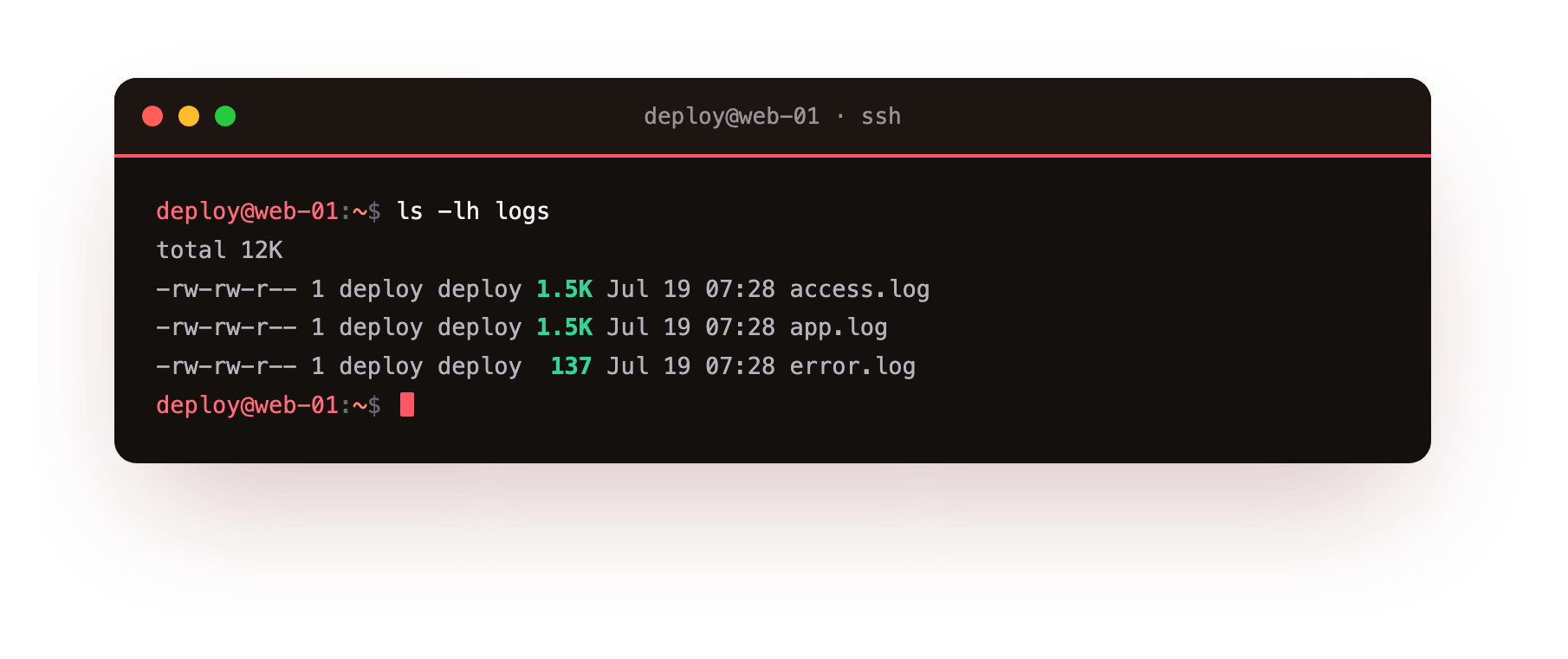 ls -lh shows the log files with human-readable sizes in kilobytes
