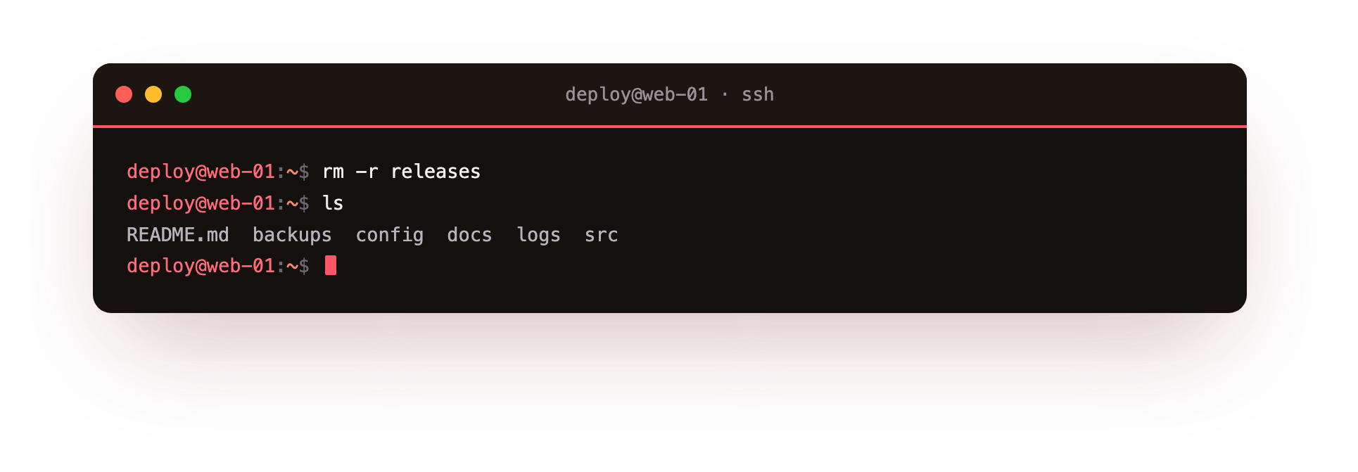 rm -r deletes the releases directory and its contents, leaving the project clean