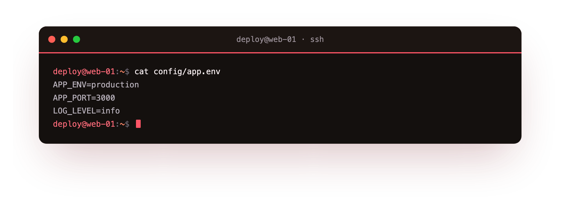 cat prints the whole app.env config file to the terminal