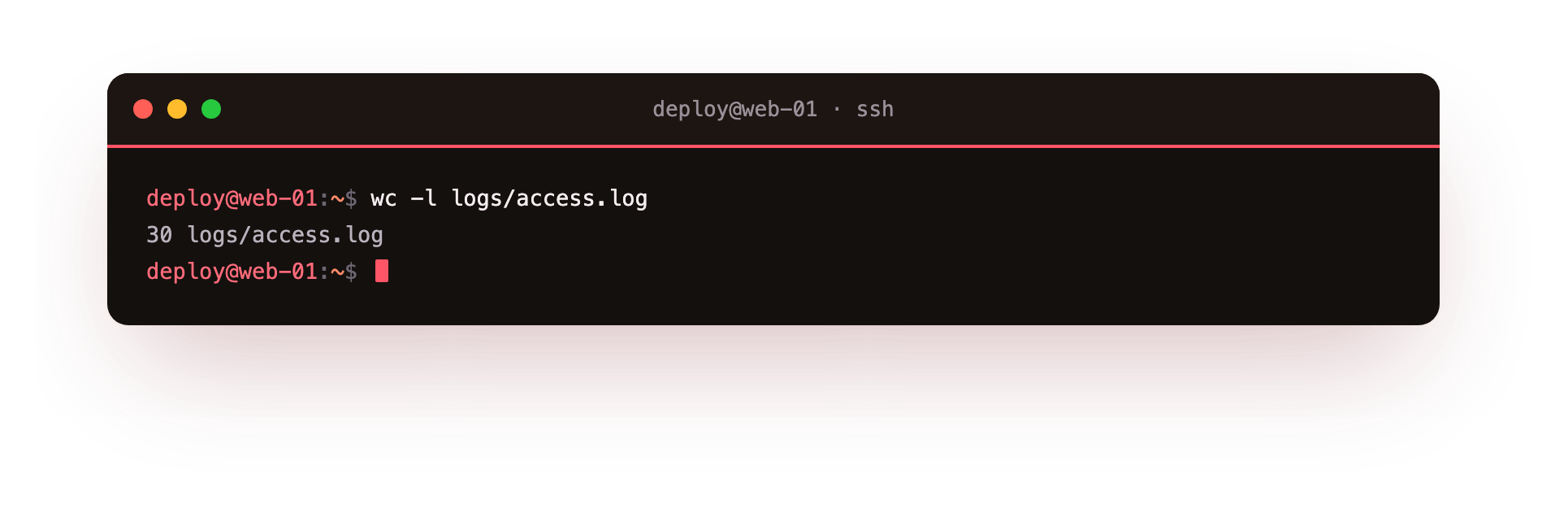 wc -l counts the number of lines in the access log