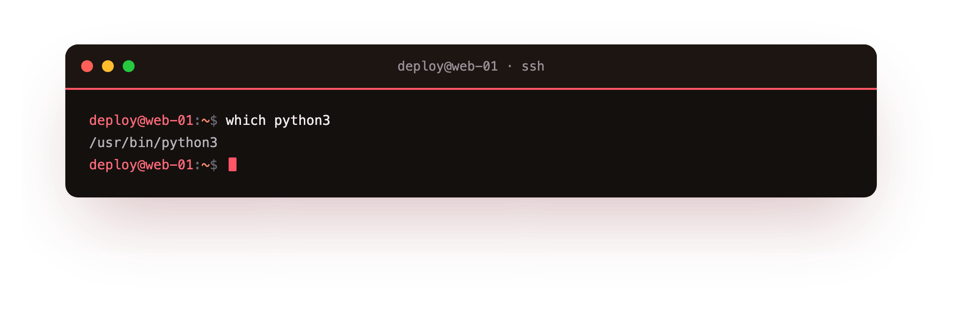 which reports the full path of the python3 binary that would run