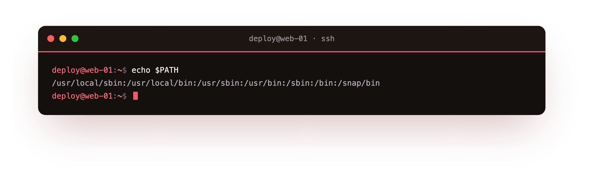 echo $PATH prints the ordered list of directories the shell searches for commands