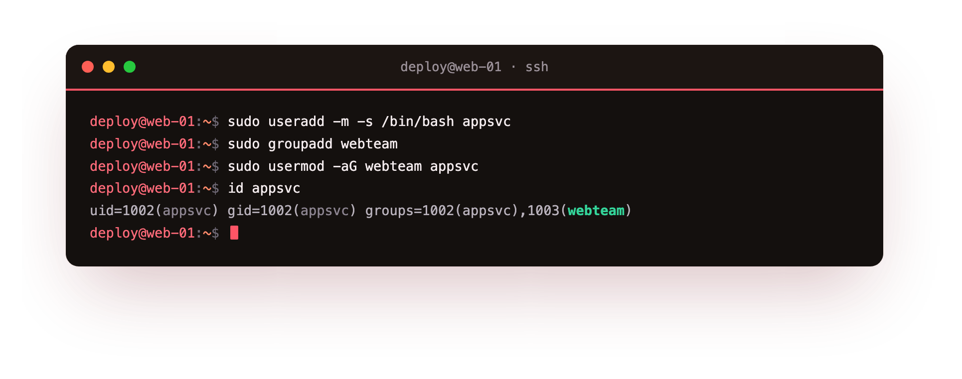 useradd, groupadd and usermod create the appsvc account and add it to the webteam group