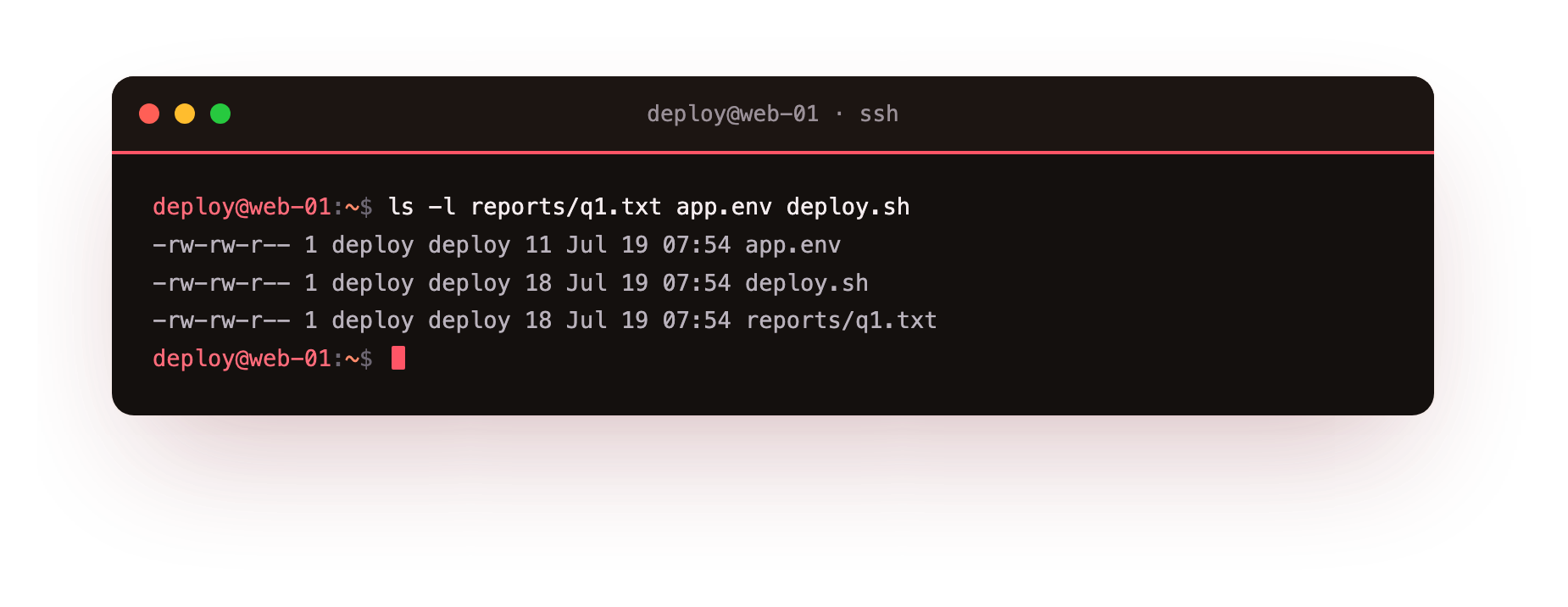 ls -l shows all three files owned by the deploy user and group to start with