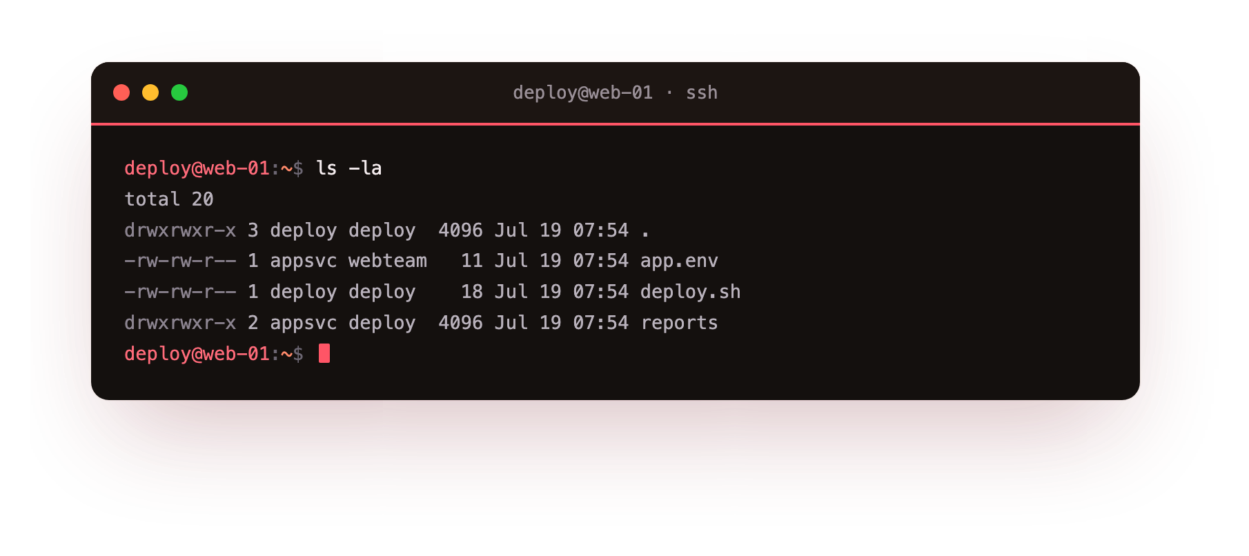 The first column of ls -la encodes type and the read, write, execute bits for user, group and other