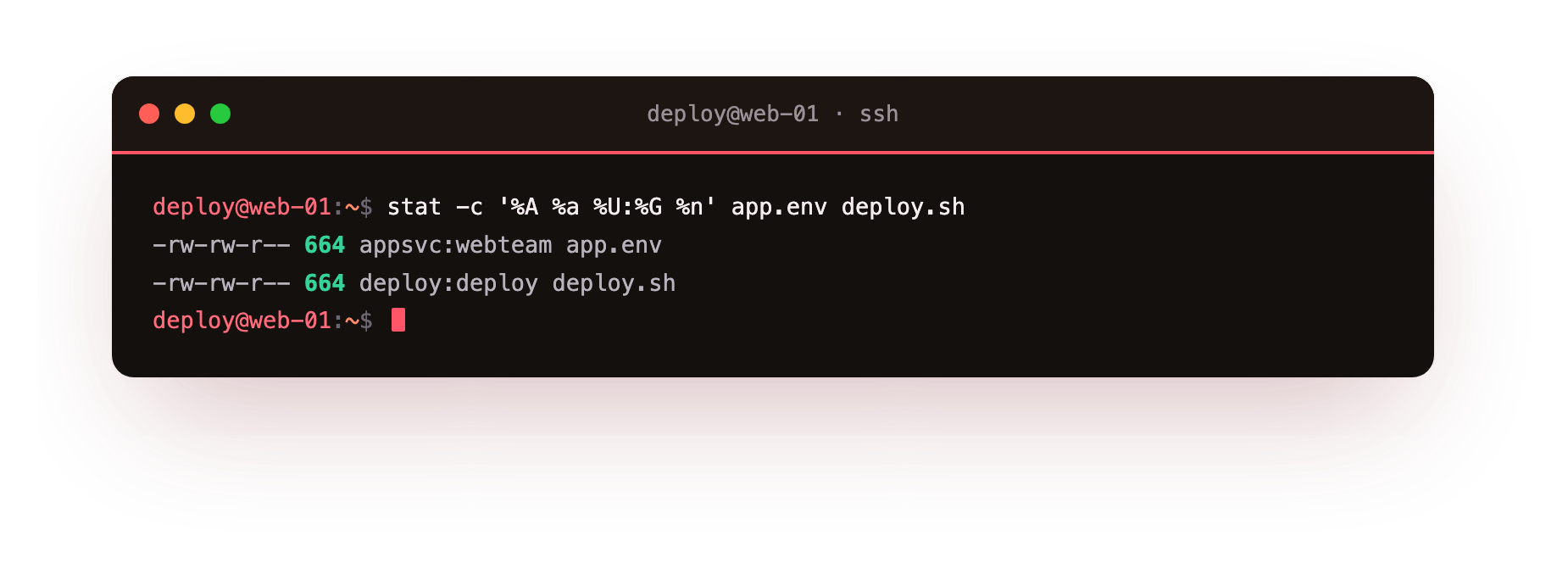 stat prints the same permissions as a symbolic string and as the octal number 664