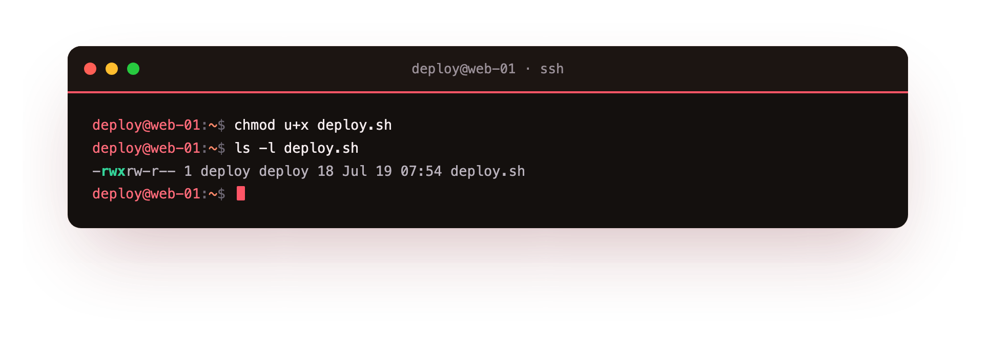 chmod u+x adds the execute bit for the owner so the script can run