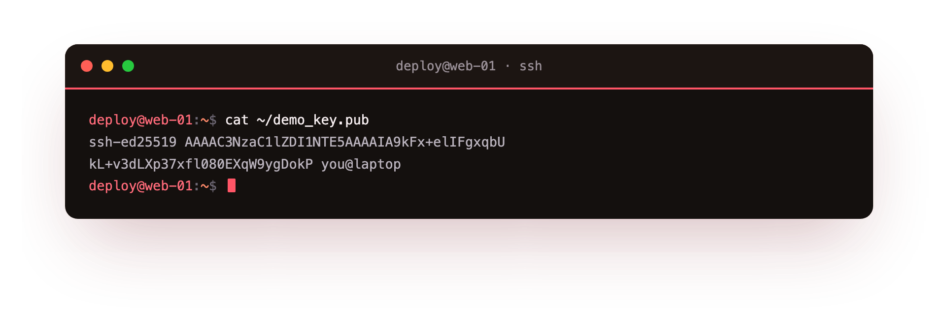 The public key is one line of text that you copy to the server's authorized_keys file