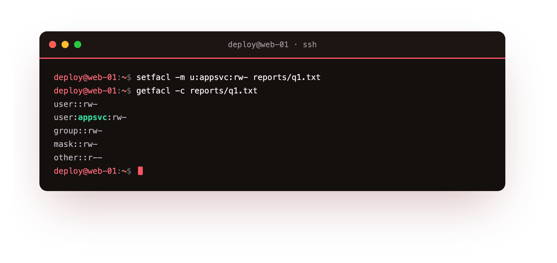 getfacl lists the base permissions plus the extra rule that grants appsvc read and write