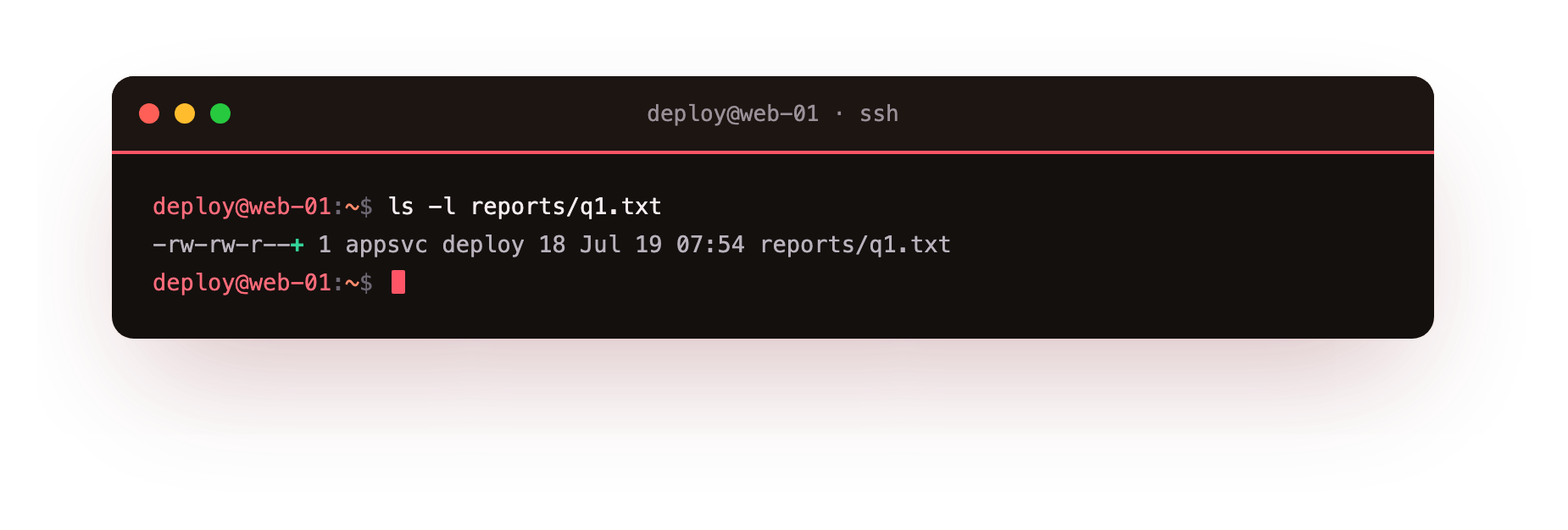 The plus sign after the permission string is how ls signals that a file has an ACL