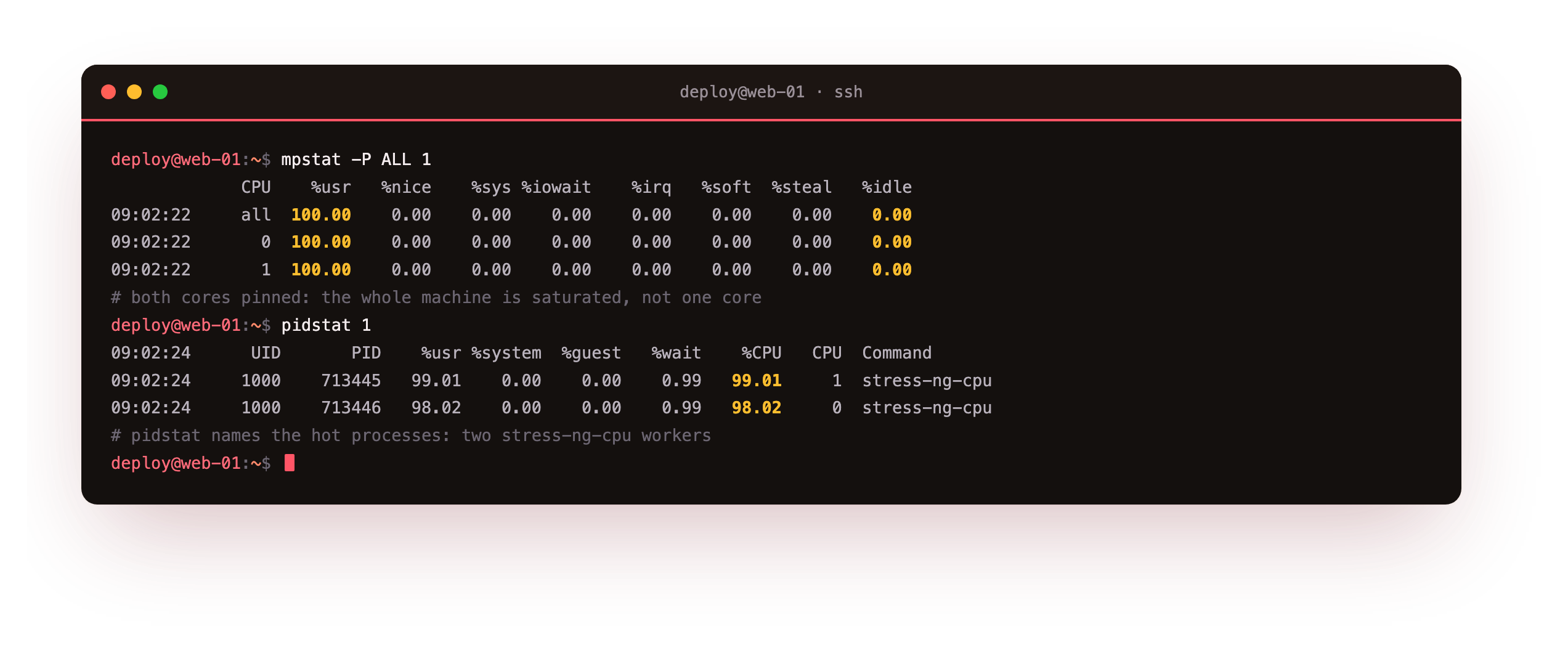 mpstat reporting both CPU cores at 100 percent user time under load, followed by pidstat naming two stress-ng-cpu worker processes each holding about 98 percent CPU as the hot processes