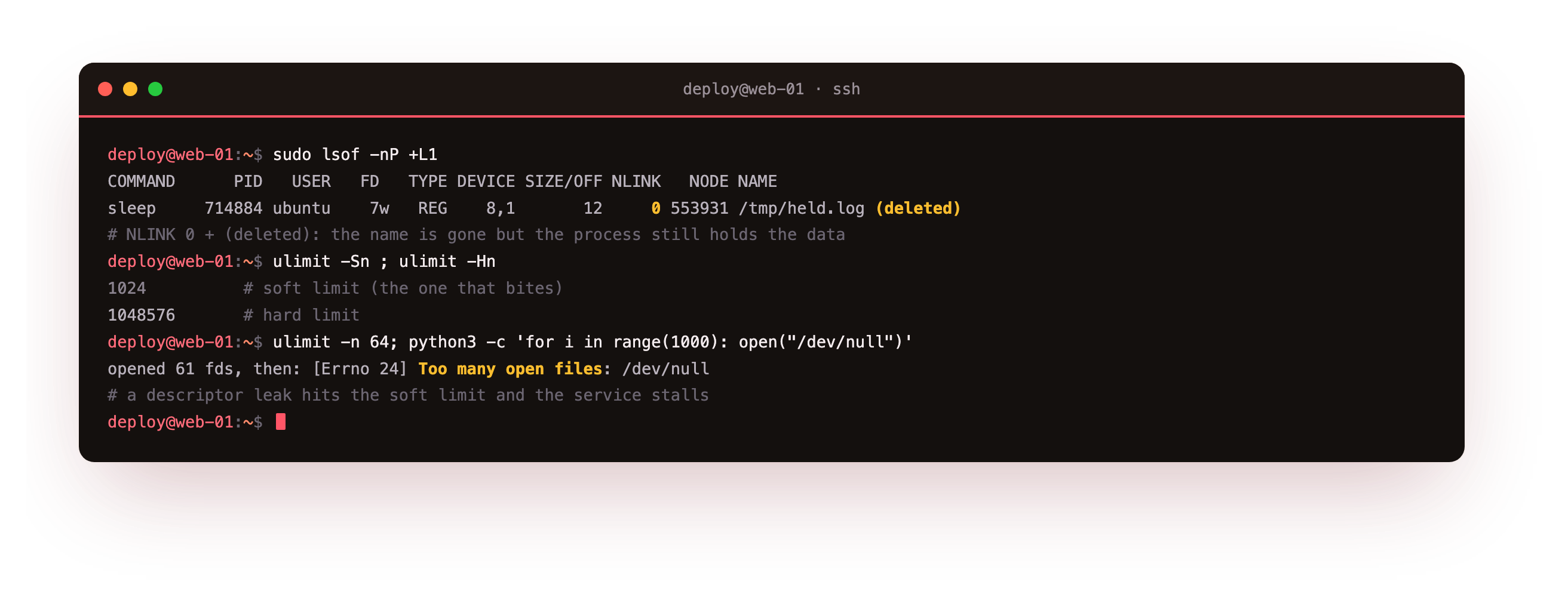 lsof with the +L1 flag finding a deleted file still held open by a sleep process on descriptor 7 with a link count of zero, followed by ulimit showing a 1024 soft open-file limit and a file-descriptor leak failing with Too many open files