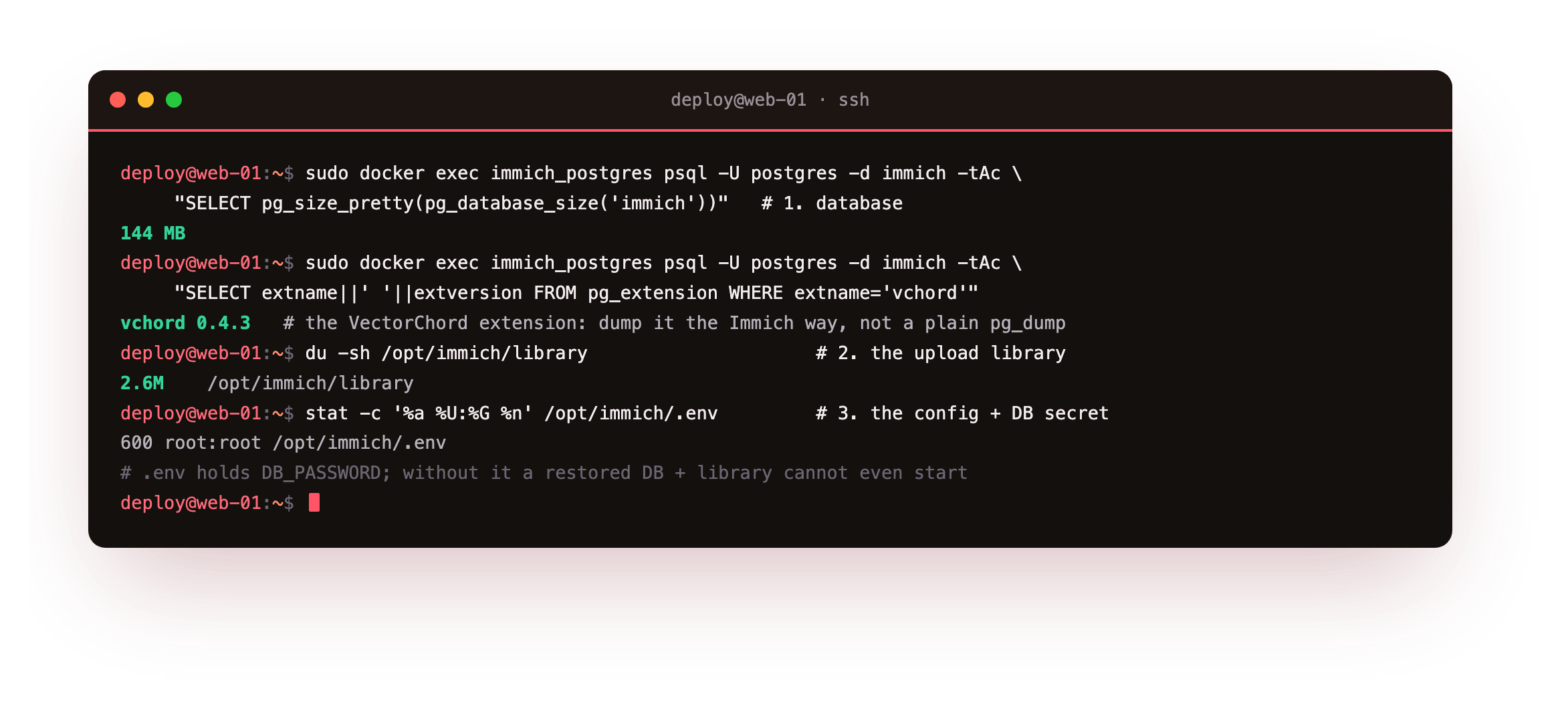 The three parts an Immich backup must capture: psql reporting the Postgres database at 144 MB, du showing the upload library on disk with the originals and thumbnails, and stat on the .env file showing mode 600, the config that holds the database password tying the database and the upload library together
