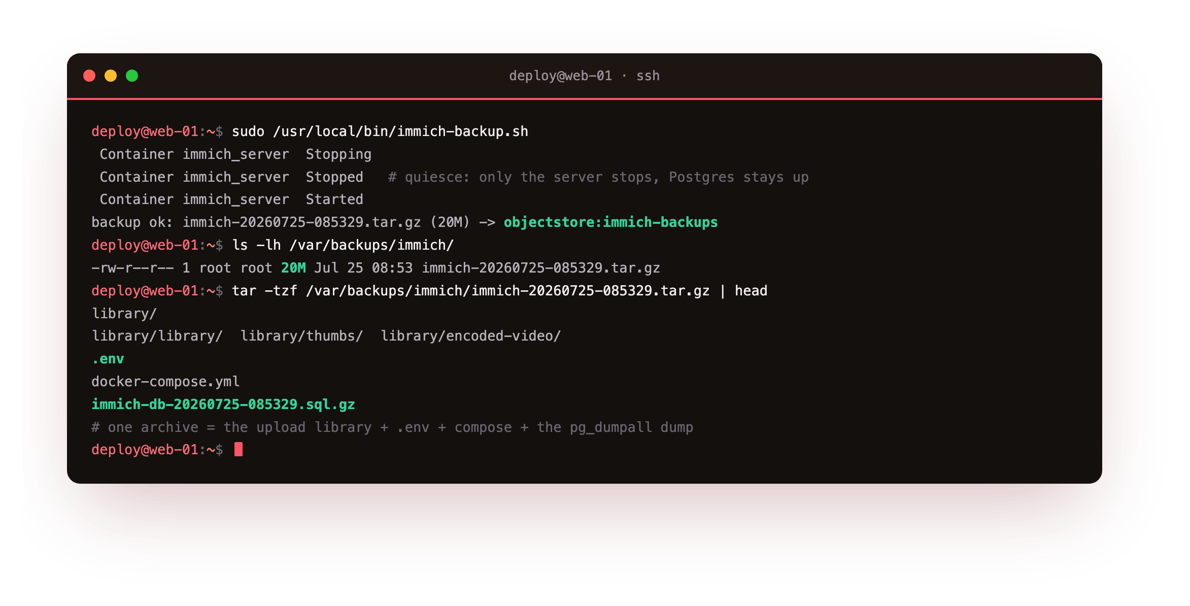 Running the backup script: immich-backup.sh stopping only the immich-server container to quiesce writes, dumping the database with pg_dumpall and rolling the upload library, the .env, the compose file and the gzipped dump into a single 20M archive, then tar -tzf listing the library tree, the .env and the immich-db SQL dump inside it