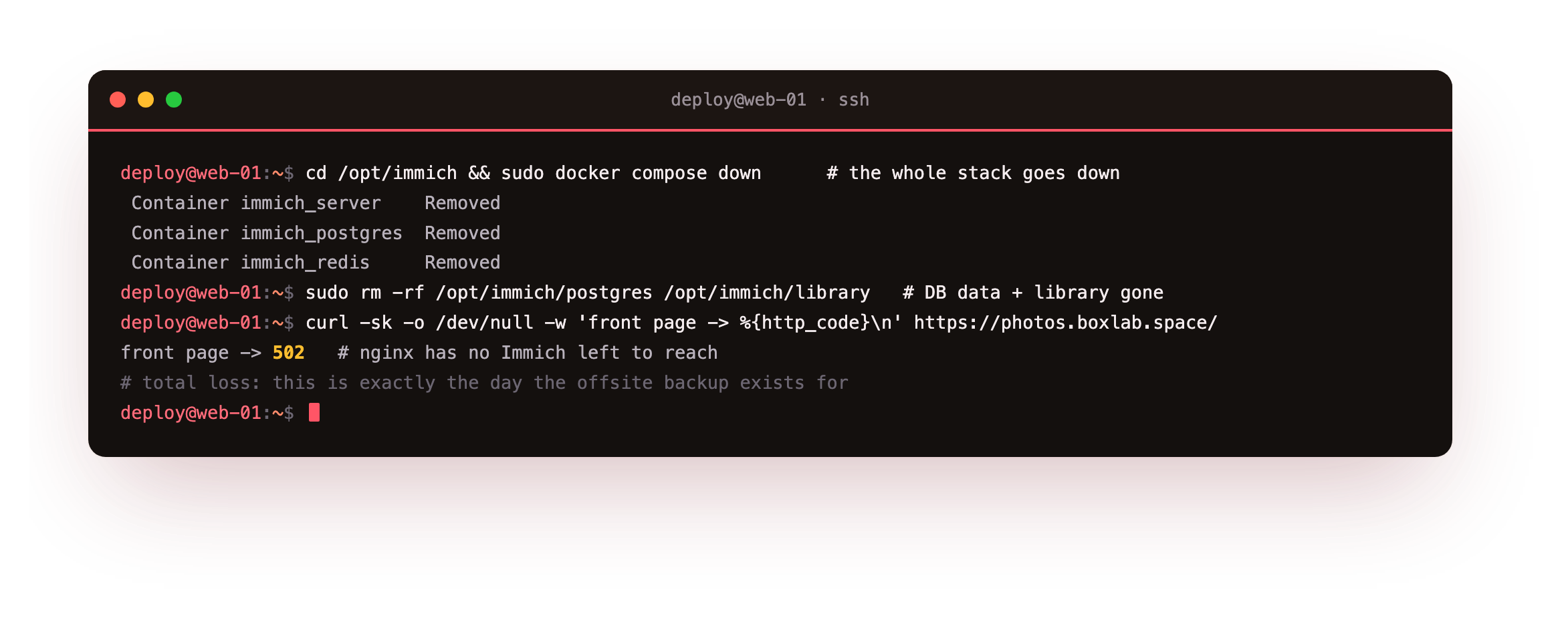 Simulating the disaster in the restore drill: taking the whole Immich stack down with docker compose down, then wiping the Postgres data directory and the upload library, after which a curl of the front page returns HTTP 502 because nginx has no Immich left to talk to, the total-loss state the offsite backup exists to recover from
