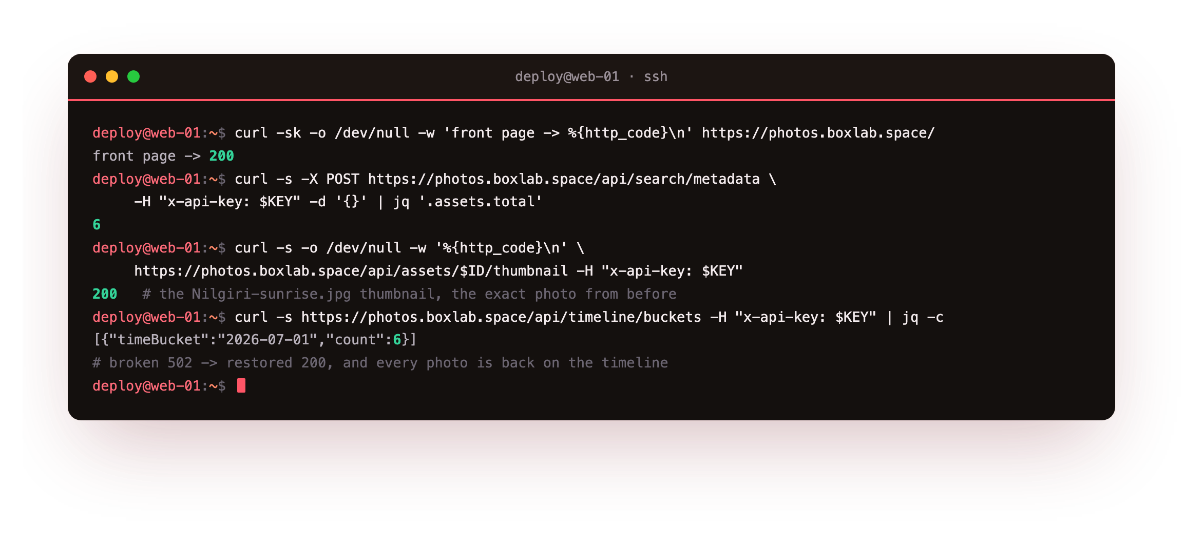 Verifying the restore: after the library and database are back and the dump replayed the Immich way, a curl of the front page returns HTTP 200 again, the search API reports the asset count back at 6, and a thumbnail request for the Nilgiri-sunrise.jpg photo present before the disaster returns HTTP 200, grouped back on the timeline
