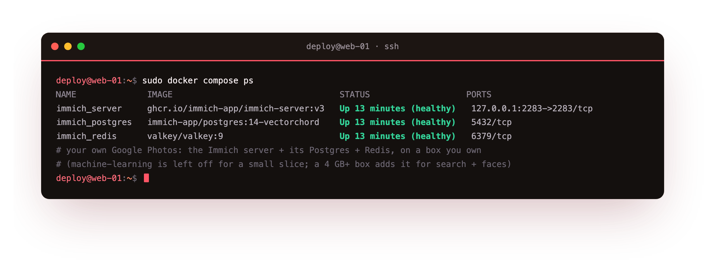 docker compose ps on the finished install showing the three core containers up and healthy, the Immich server, its Postgres database with the vector extension, and Redis, the whole photo cloud running on the lab slice photos.boxlab.space