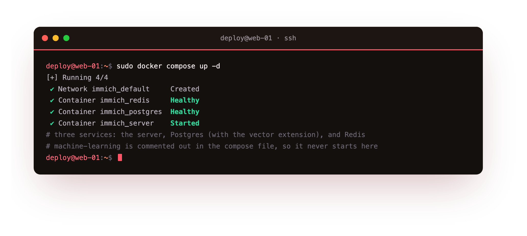 docker compose up -d creating the network, waiting for Postgres and Redis to report healthy, then starting the Immich server, with the machine-learning service commented out so it never starts on the small box