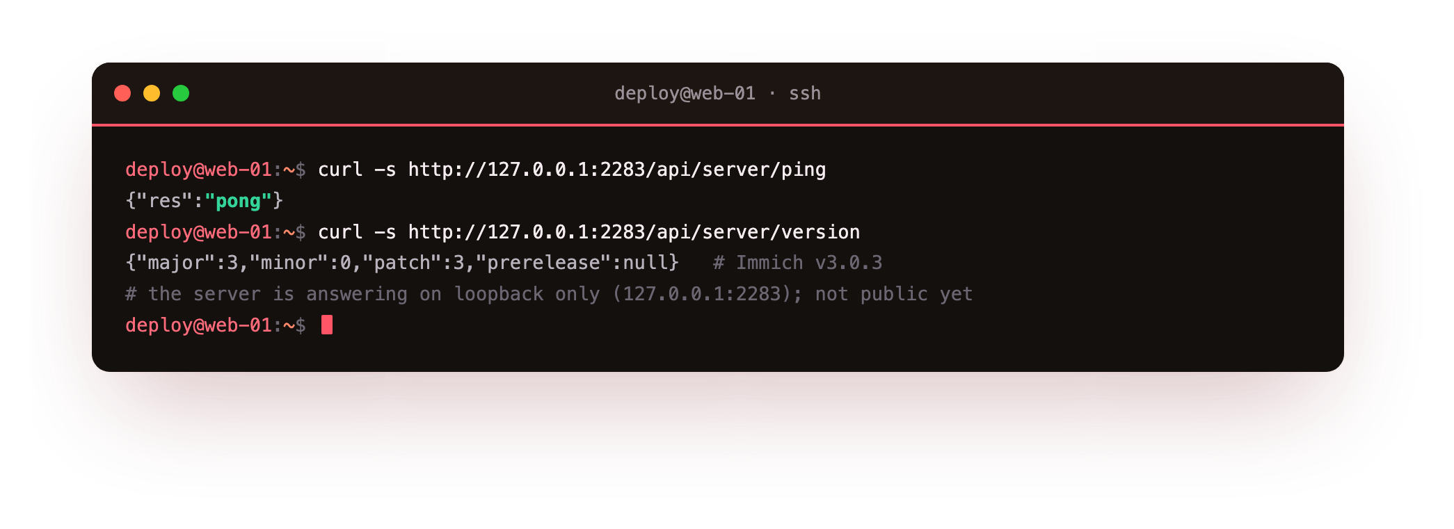Verifying the core came up: the server ping returning pong and the version endpoint reporting Immich v3.0.3, answering on loopback 127.0.0.1:2283 only, not yet reachable from outside