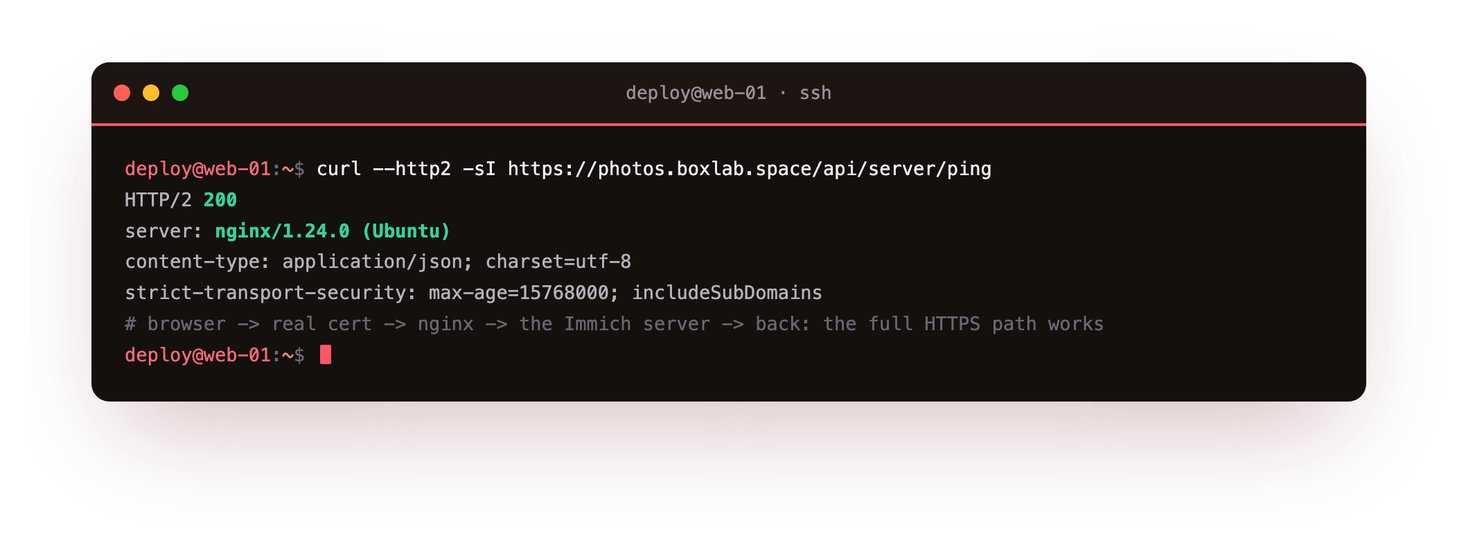 curl over HTTP/2 returning 200 from https://photos.boxlab.space through nginx into the Immich container, proving the full HTTPS path works over the real certificate with HSTS set