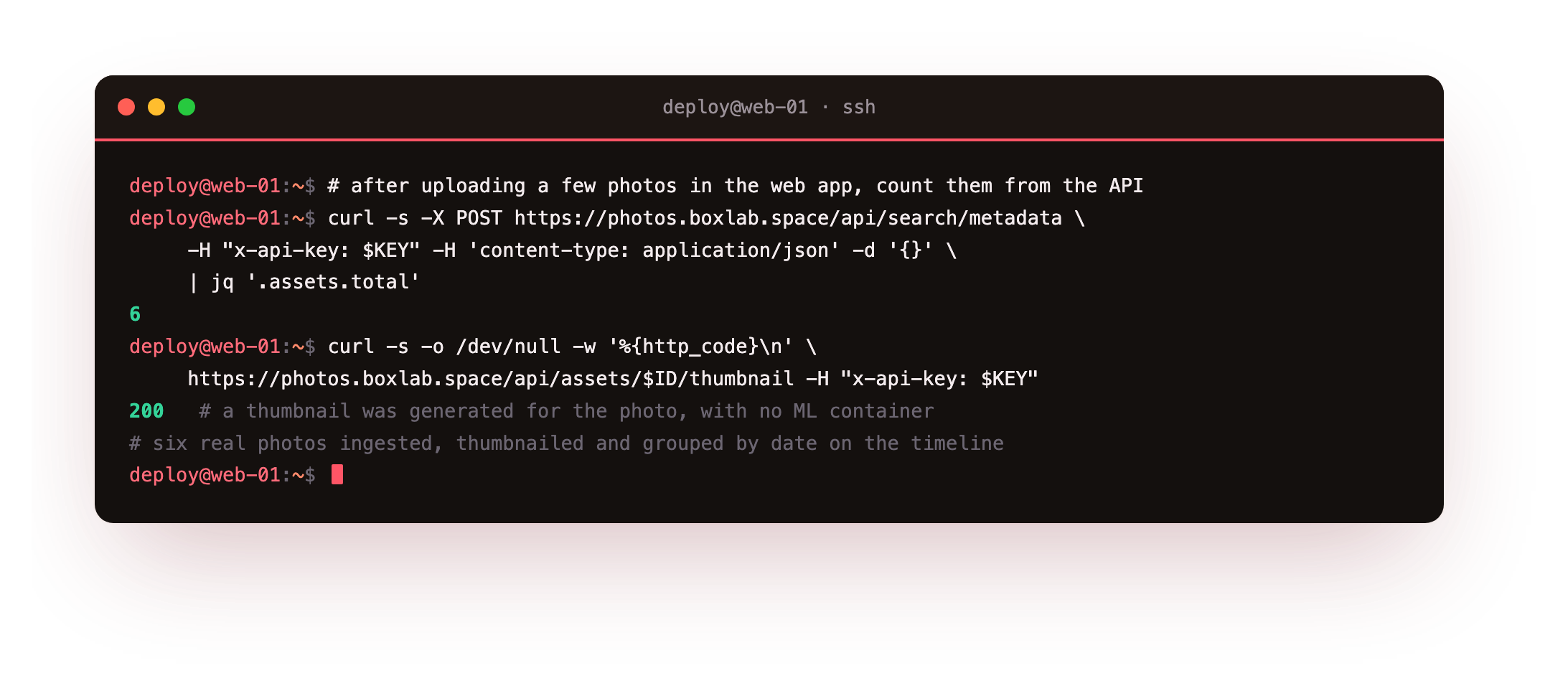 Confirming the uploaded photos landed: the API reports six assets in the library and a thumbnail returns HTTP 200, proof the server ingested and thumbnailed the photos with no machine-learning container running