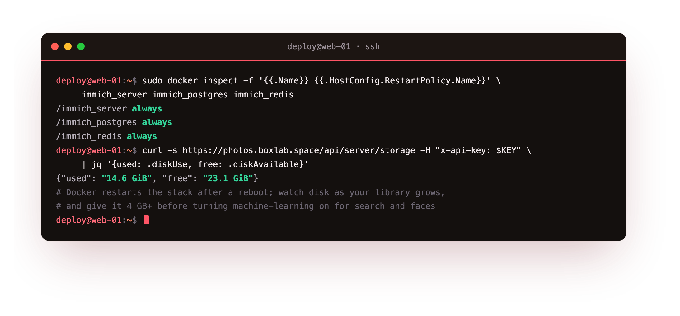 Keeping it running: docker inspect showing the restart policy is always on all three containers, and the server storage endpoint reporting disk used and free so you can watch the library grow