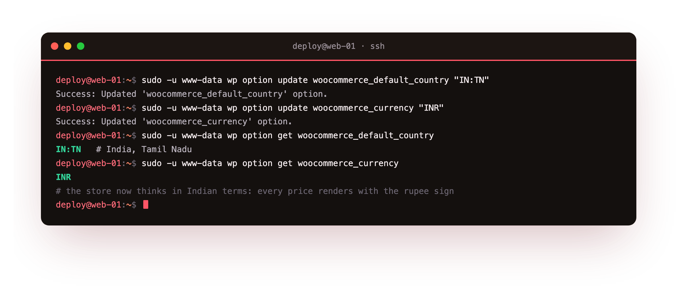 Setting up the store for India: wp option update pointing woocommerce_default_country to IN:TN and woocommerce_currency to INR, then reading both back so every price on the shop renders with the Indian rupee sign