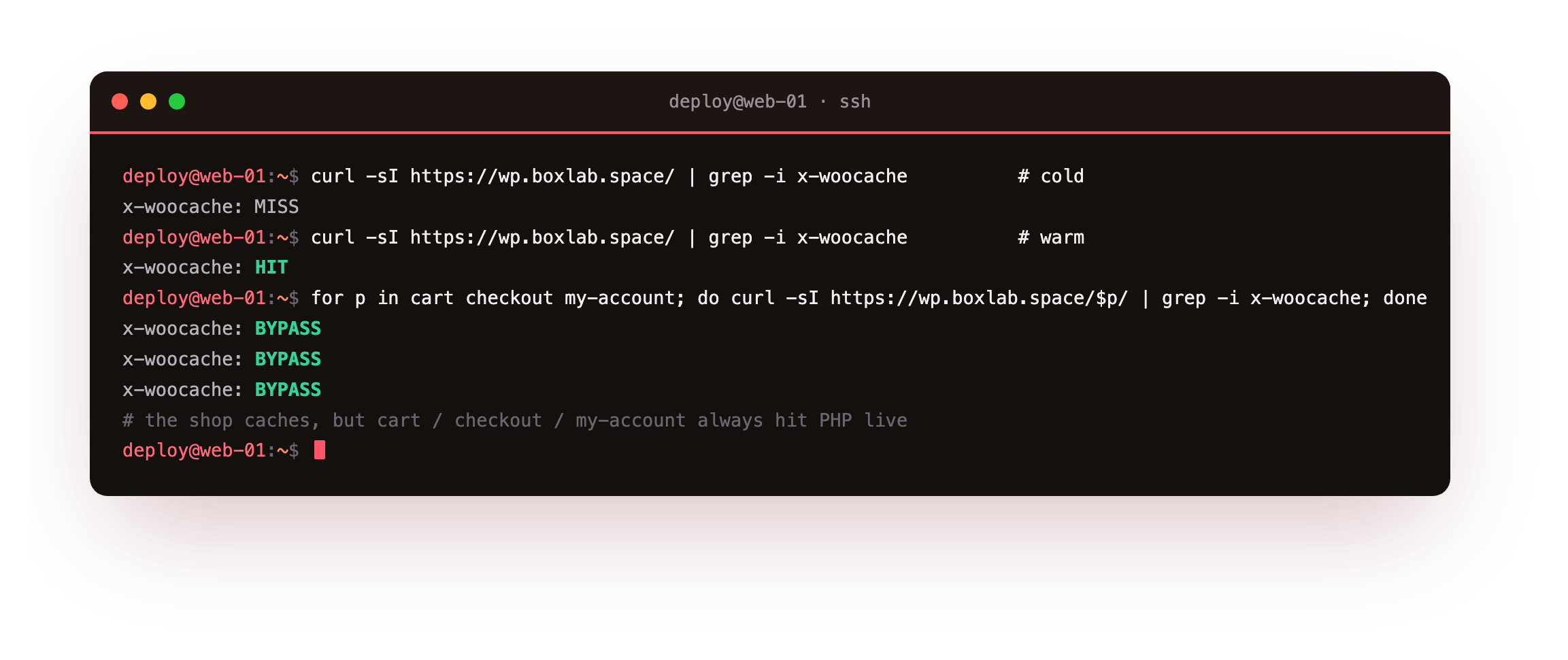 Proving the WooCommerce-aware page cache: the anonymous home page goes from x-woocache MISS to HIT on a repeat, but cart, checkout and my-account all return BYPASS, so shoppers always get a live cart and never a cached copy of someone else's basket