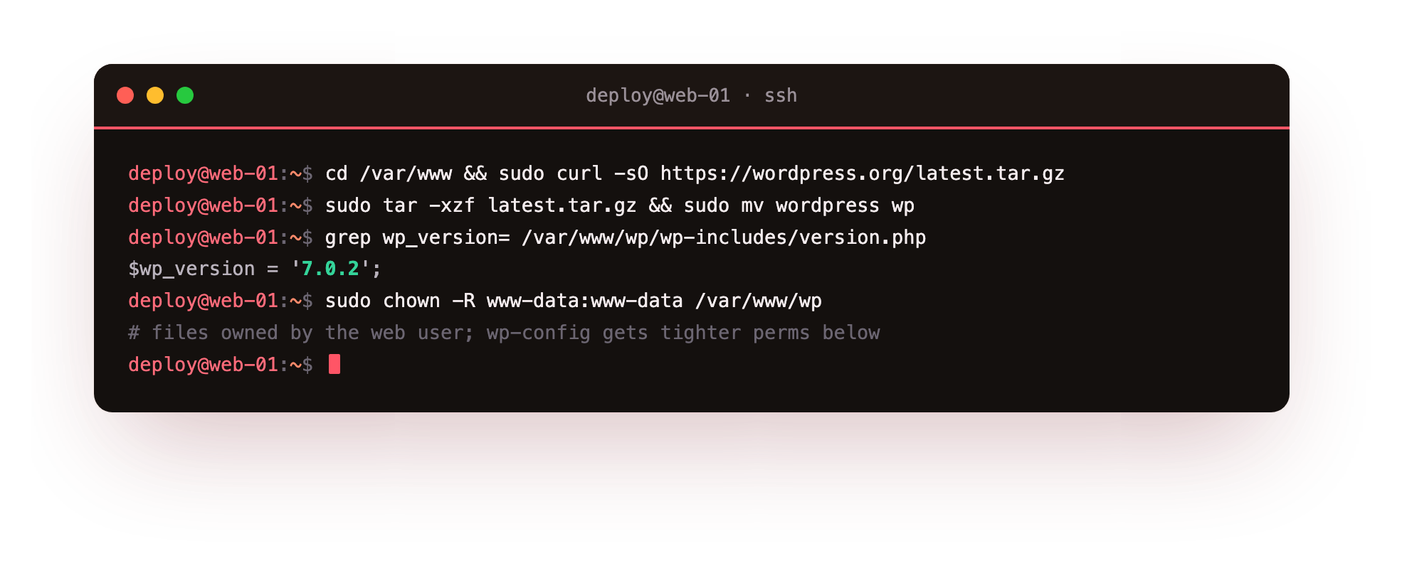 Downloading and unpacking the current WordPress release into /var/www/wp, confirming version 7.0.2 from version.php, and handing the files to the www-data web server user