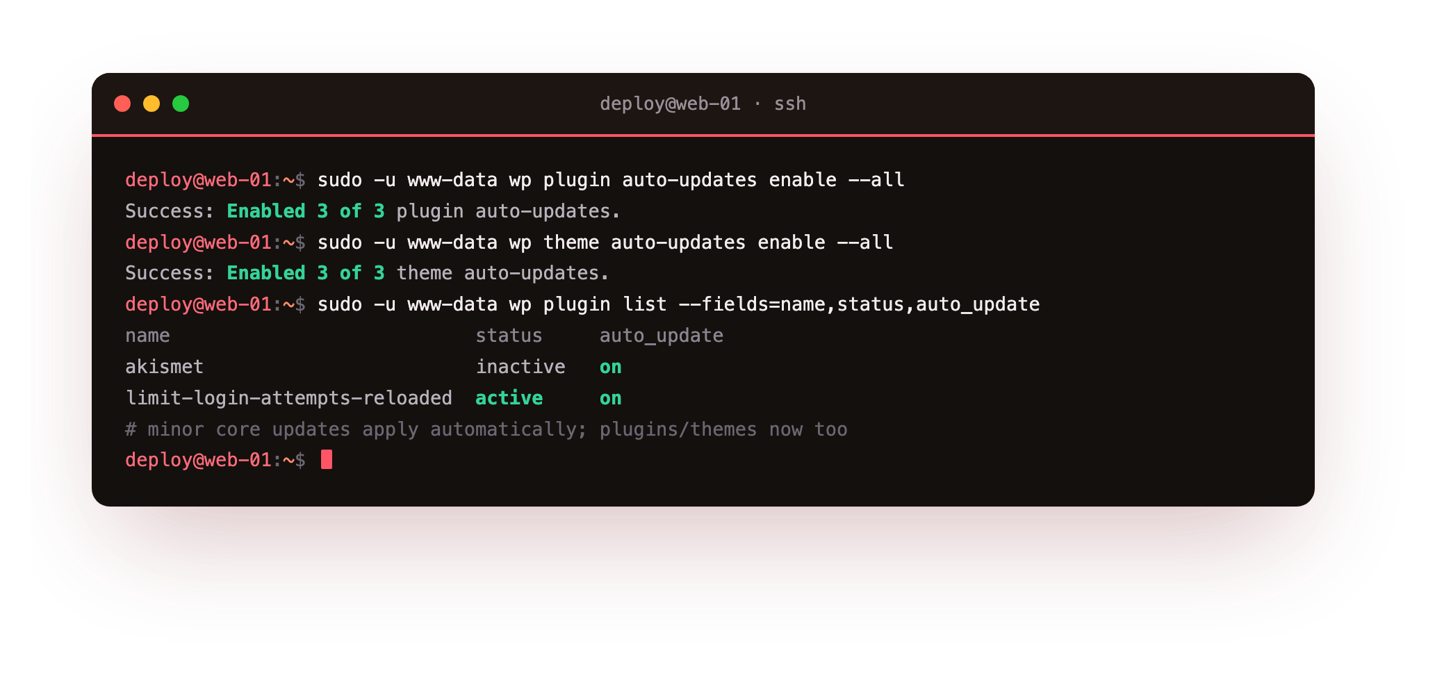 Enabling automatic updates for all plugins and themes with wp-cli, then listing plugins to confirm Limit Login Attempts Reloaded is active with auto-updates on, on top of automatic minor core updates