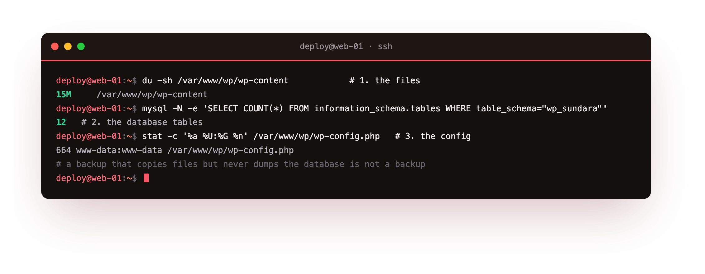 What a WordPress backup must capture: du showing the wp-content files at 15M, a SQL count reporting the 12 database tables in MariaDB, and stat on wp-config.php, the small config file that holds the database credentials and secret keys tying the two together