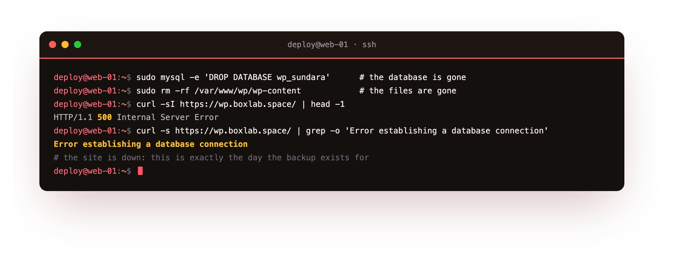 Simulating the disaster in the restore drill: dropping the WordPress database and deleting wp-content, after which a curl of the front page returns HTTP 500 and the site renders the WordPress line Error establishing a database connection
