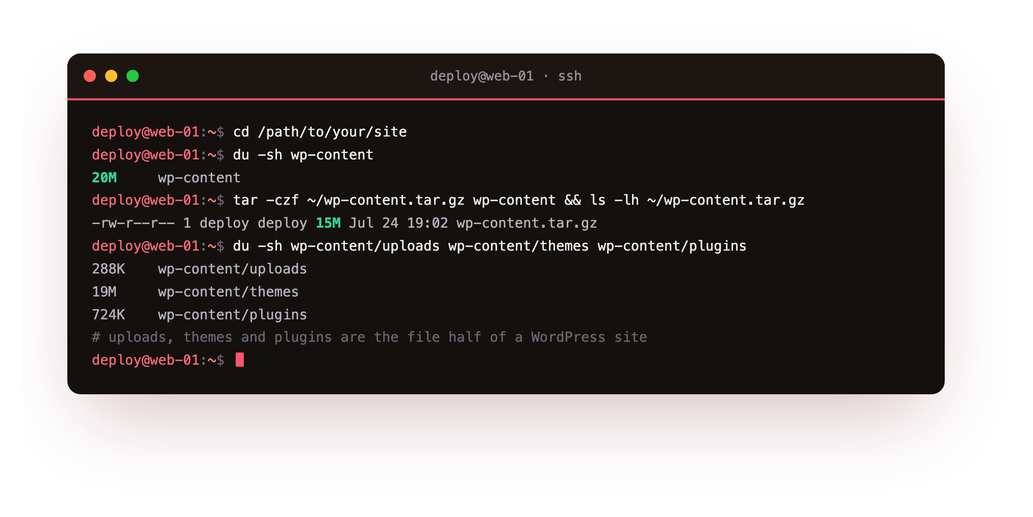 Exporting the files on the old host: tar packing wp-content into a 15M archive, then du showing the uploads, themes and plugins that make up the file half of a WordPress site