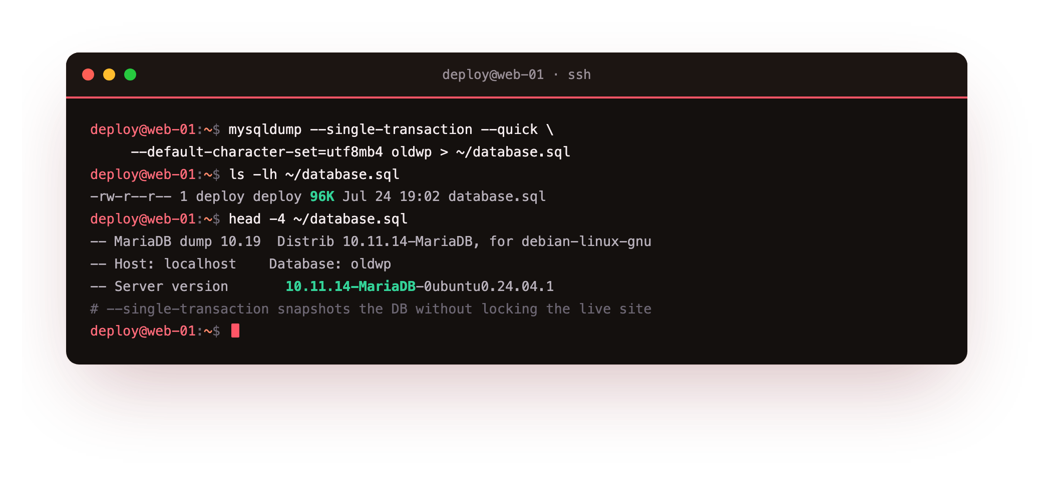 Exporting the database on the old host with mysqldump using a single consistent transaction so the live site is not locked, producing a 96K database.sql whose header shows the MariaDB 10.11.14 source