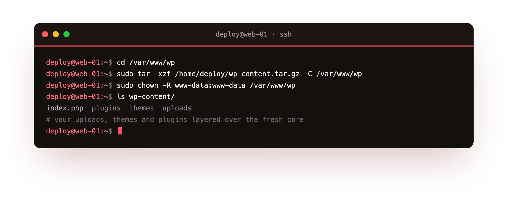 Importing the files on the slice: tar unpacking wp-content into /var/www/wp over the fresh WordPress core, then chown handing every file to the www-data web server user