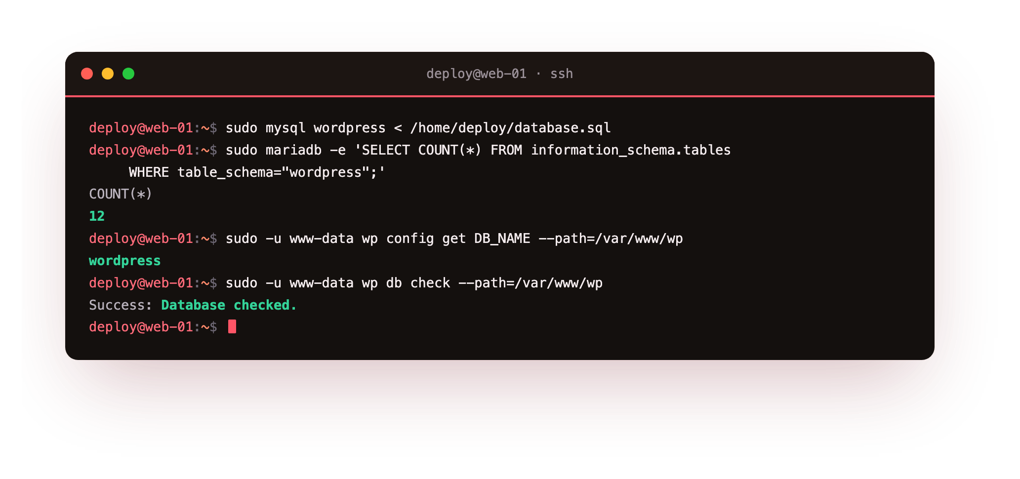 Importing the database on the slice: loading database.sql into the empty wordpress database, then wp config get and wp db check confirming wp-config.php reads DB_NAME wordpress and the imported tables check out cleanly