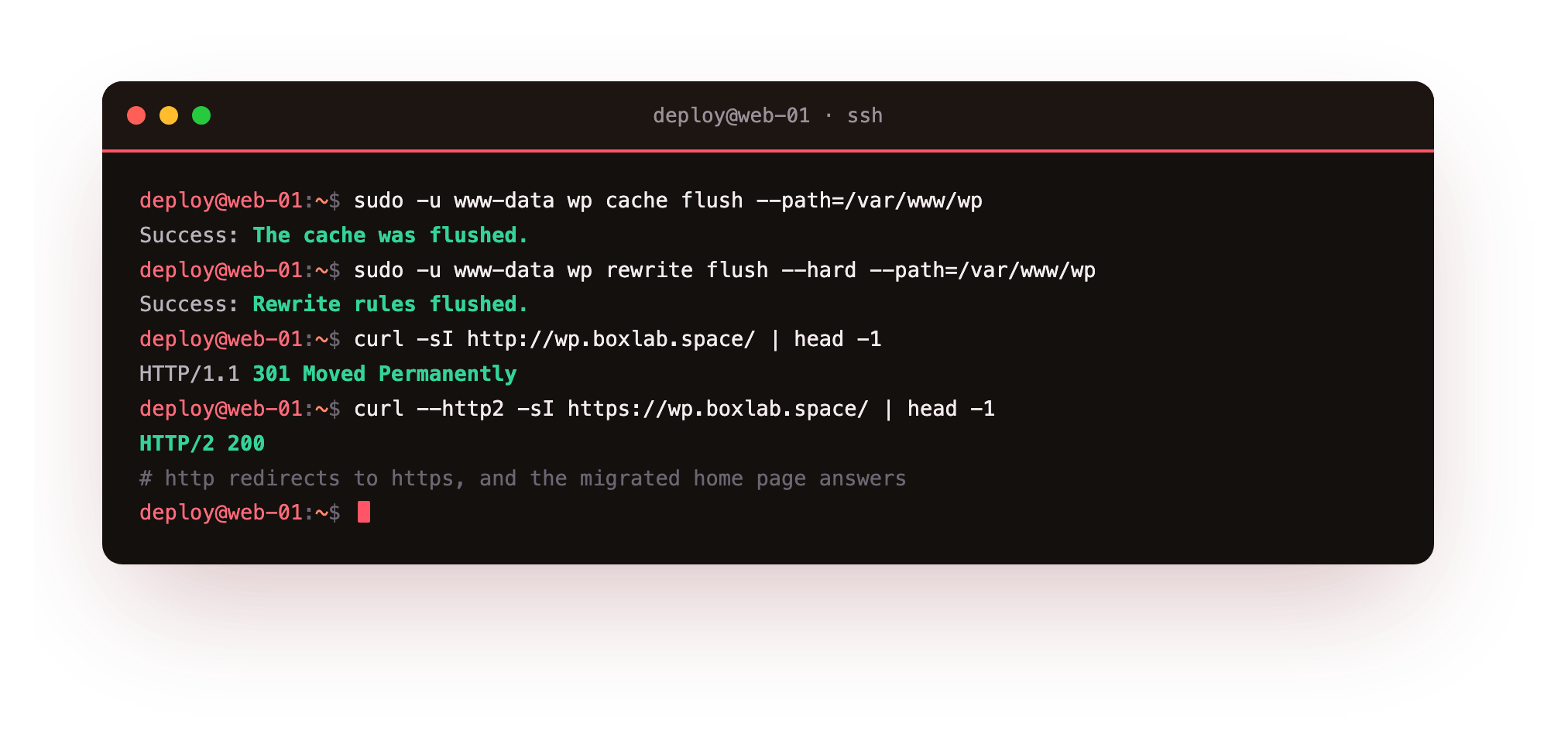 Going live: wp cache flush and wp rewrite flush rebuilding the permalink rules, then curl showing plain HTTP redirected 301 to HTTPS and the migrated home page answering 200 over HTTP/2 on the slice