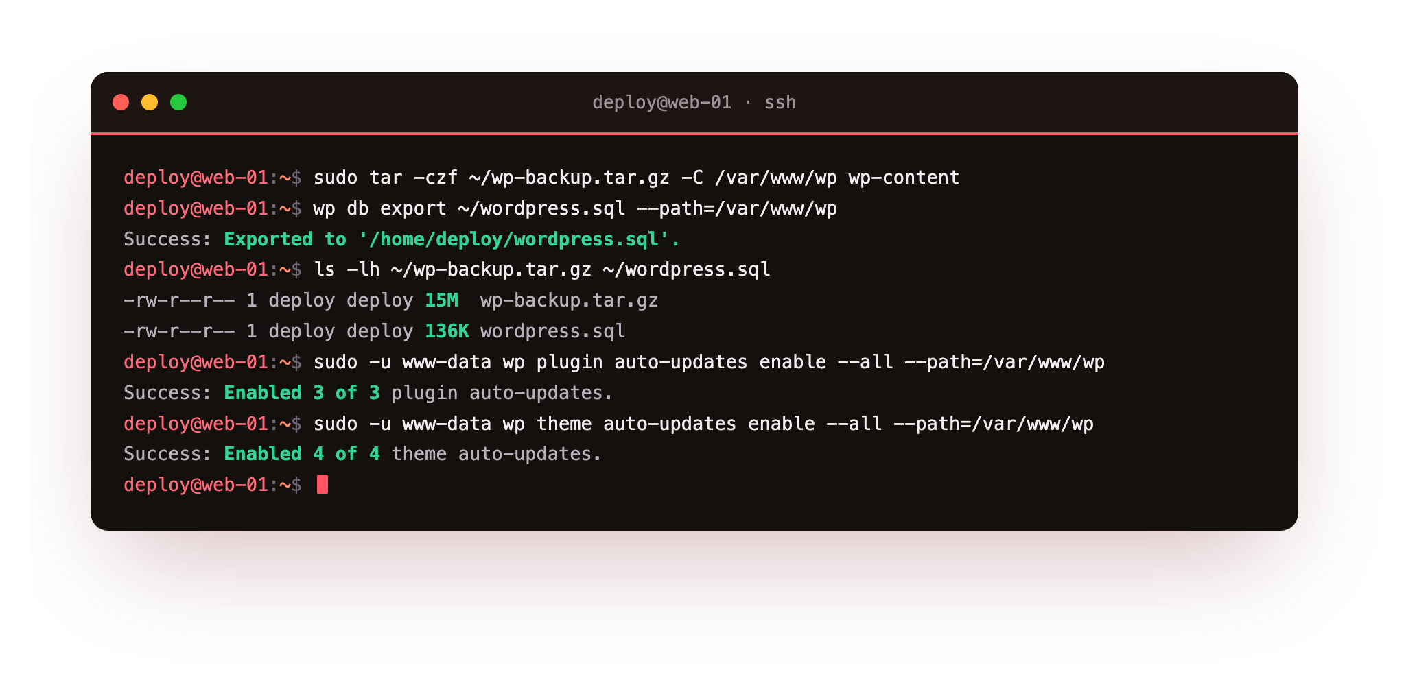 After the move: a first off-slice backup with tar plus wp db export, then wp enabling automatic updates for all plugins and themes so the migrated site stays patched on its own